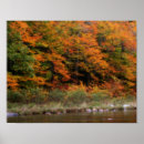 Search for fall foliage art Nature