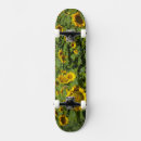 Search for sunflower skateboards Colourful