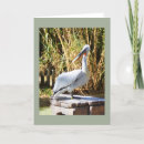 Search for bird fathers day cards Pelican