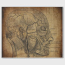 Search for anatomy wrapping paper Science