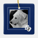 Search for paw christmas tree decorations Blue