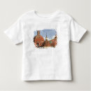 Search for guanajuato tshirts Latin america