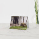 Search for sofa cards Photography