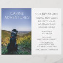 Search for dog flyers Walker