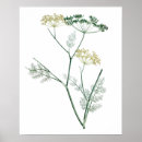 Search for softness posters Plant