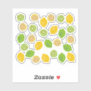 Search for lime slice stickers Summer