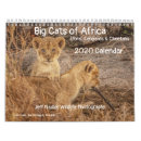 Search for big cat calendars Nature