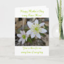 Search for foster mothers mothers day cards Mum