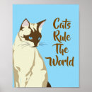 Search for cat quotes posters Modern