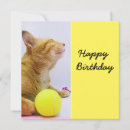 Search for play ball cards Sport