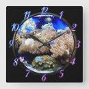 Search for aquarium fish clocks Blue