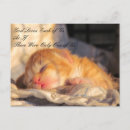 Search for love of god postcards Faith