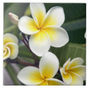 Search for frangipani tiles Tropical