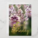 Search for birthday mothers day cards Modern