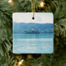 Search for slovenia christmas tree decorations nature