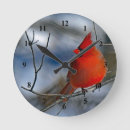 Search for cardinal clocks Red
