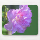 Search for azalea mousepads Floral