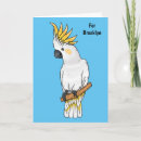 Search for crested cards Bird