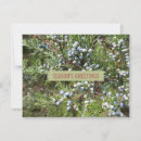 Search for landscape business christmas cards Nature
