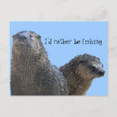 Search for otter pictures postcards Otters