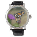 Search for backyard watches Superstock