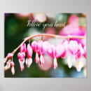 Search for bleeding posters Flowers