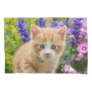 Search for kittens pillowcases For her
