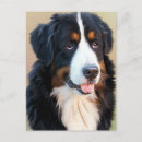 Search for animals postcards Dog