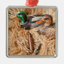 Search for duck hunting christmas tree decorations Drake