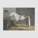 Search for paint horse tissue paper Furniture