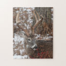 Search for red deer puzzles Winter
