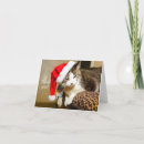 Search for siamese christmas cards Kitten