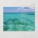Search for belizean postcards Blue