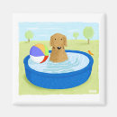 Search for golden retriever magnets Cute