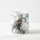 Search for red kite mugs Bird