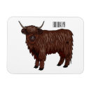 Search for cow magnets Highland cattle
