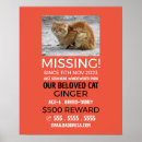 Search for lost posters Missing pet