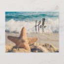 Search for seashell photography postcards Ocean