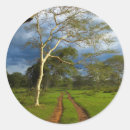 Search for gallo stickers Kwazulu natal