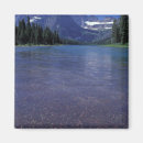 Search for environment magnets Montana