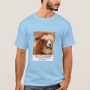 Search for alpaca tshirts Funny