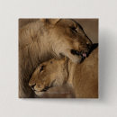 Search for panthera badges Cat