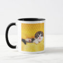 Search for cat breed mugs Animal