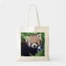 Search for red panda bags Animal