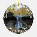 Search for akron christmas tree decorations Ohio