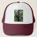 Search for hawk bird hats Birds