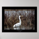 Search for water animal art Egret