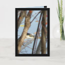 Search for blue pond cards Heron