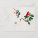 Search for red apple postcards Plant