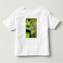 Search for central america tshirts Tourism